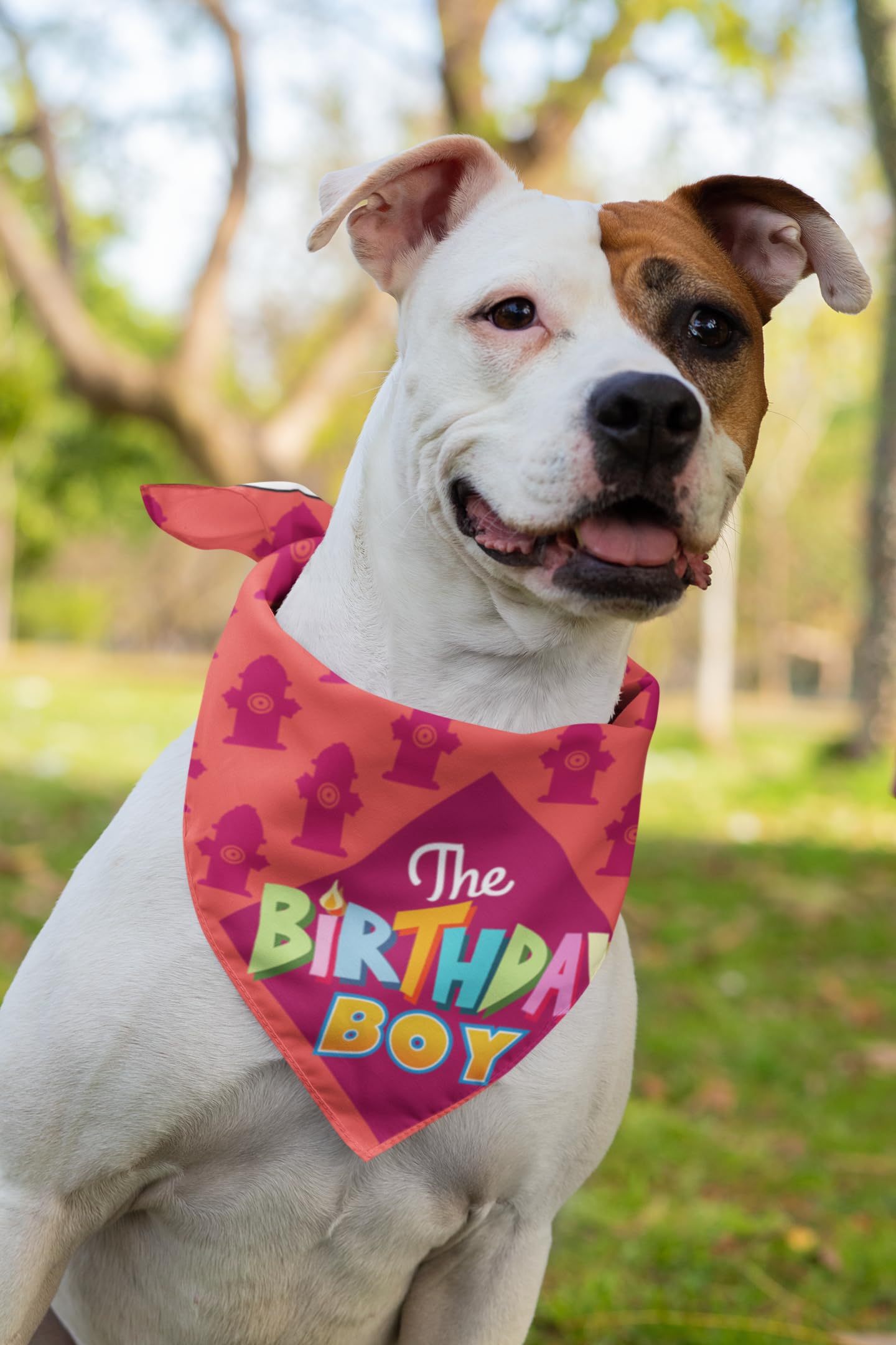 Stonehouse Collection Birthday Boy Dog Bandana, Happy Birthday Scarf for Medium to Large Dogs, Pet Accessory, Party Bandana - Dog Birthday Gift - Image 3